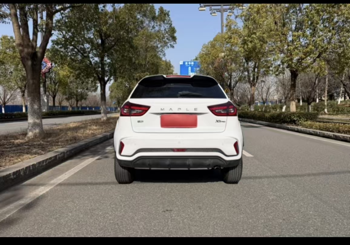 睿蓝汽车 睿蓝汽车X3 PRO 2023 汽车图片 #18