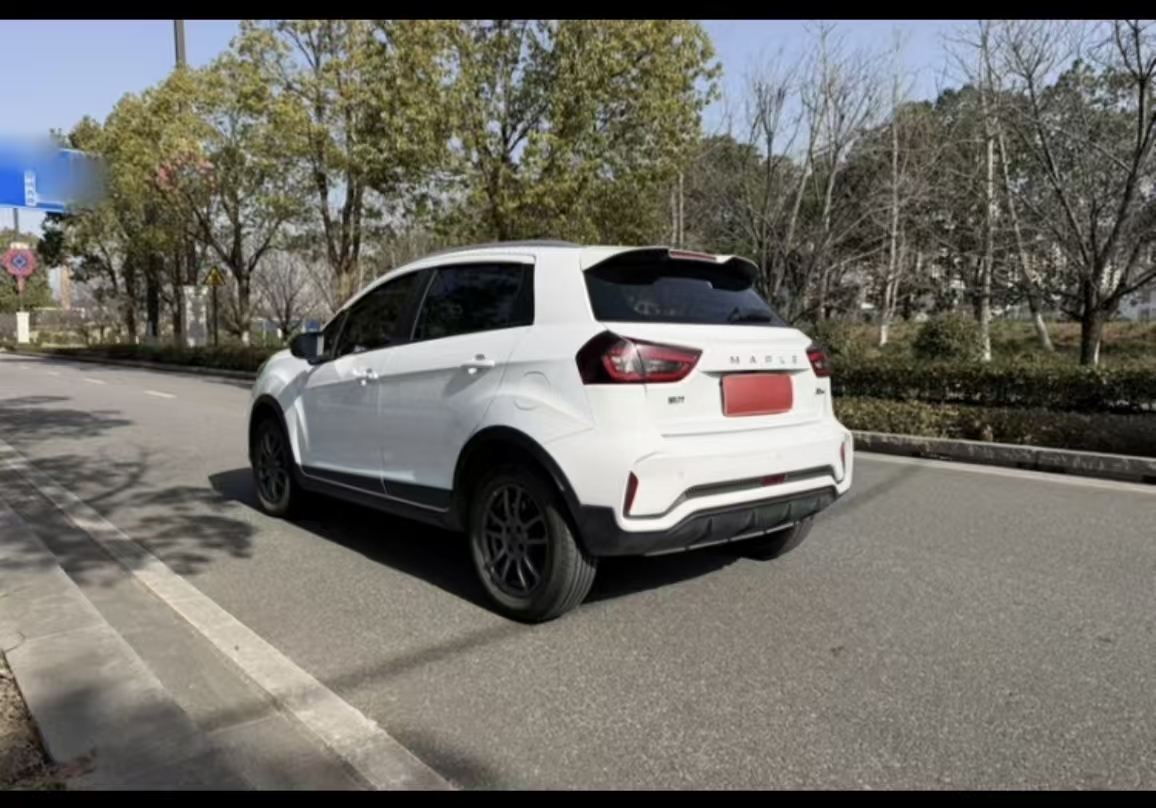 睿蓝汽车 睿蓝汽车X3 PRO 2023 汽车图片 #17