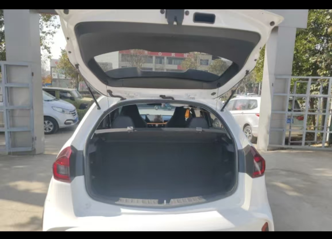 睿蓝汽车 睿蓝汽车X3 PRO 2023 汽车图片 #13