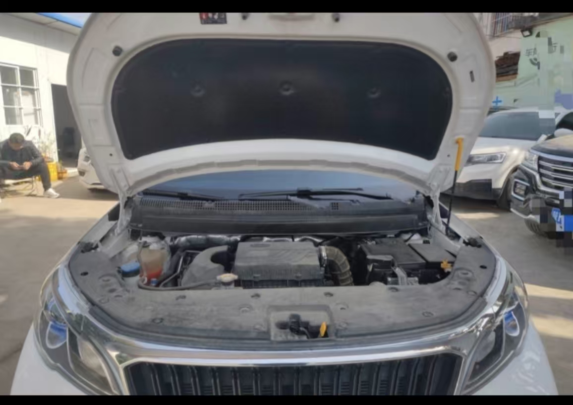 睿蓝汽车 睿蓝汽车X3 PRO 2023 汽车图片 #15