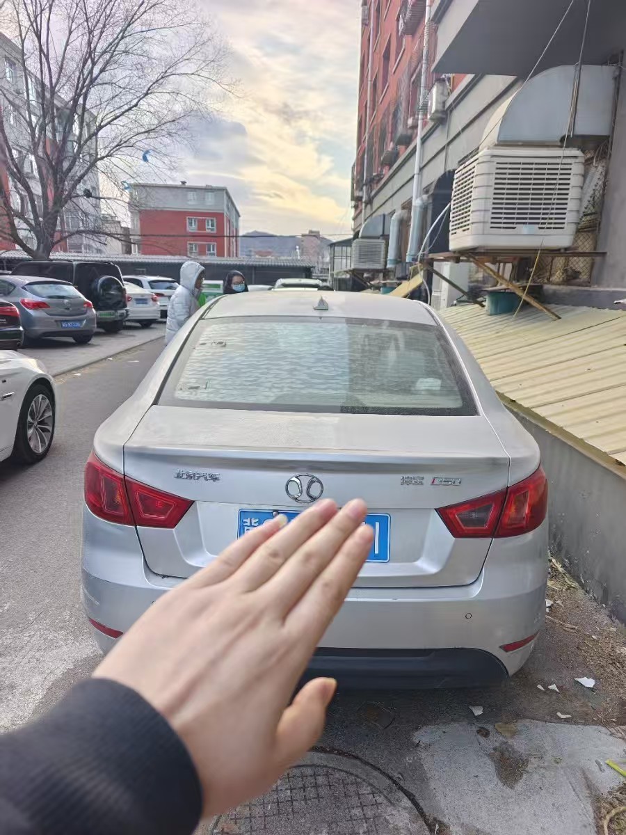 Beijing 2015 car image #5