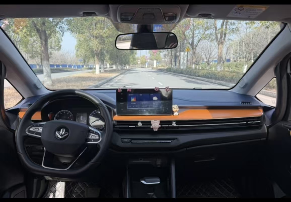 Livan X3 PRO 2023 image de voiture #13