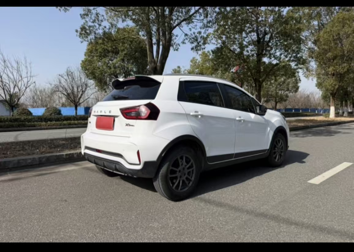 Livan X3 PRO 2023 image de voiture #21