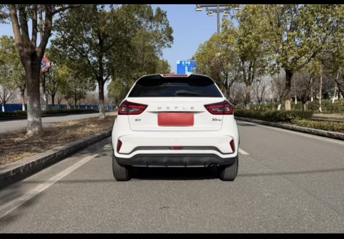 Livan X3 PRO 2023 image de voiture #20