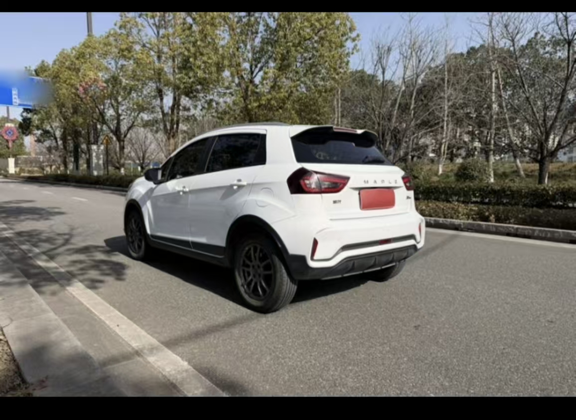 Livan X3 PRO 2023 image de voiture #12