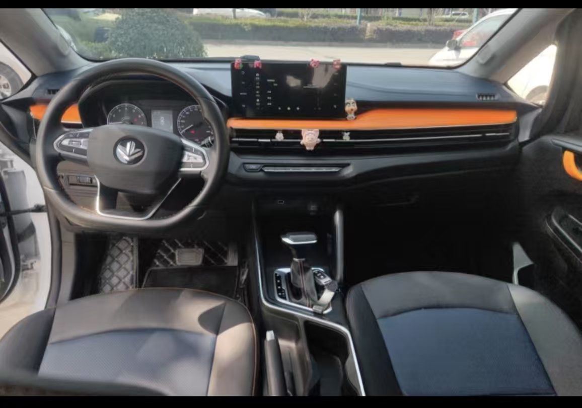 Livan X3 PRO 2023 image de voiture #14