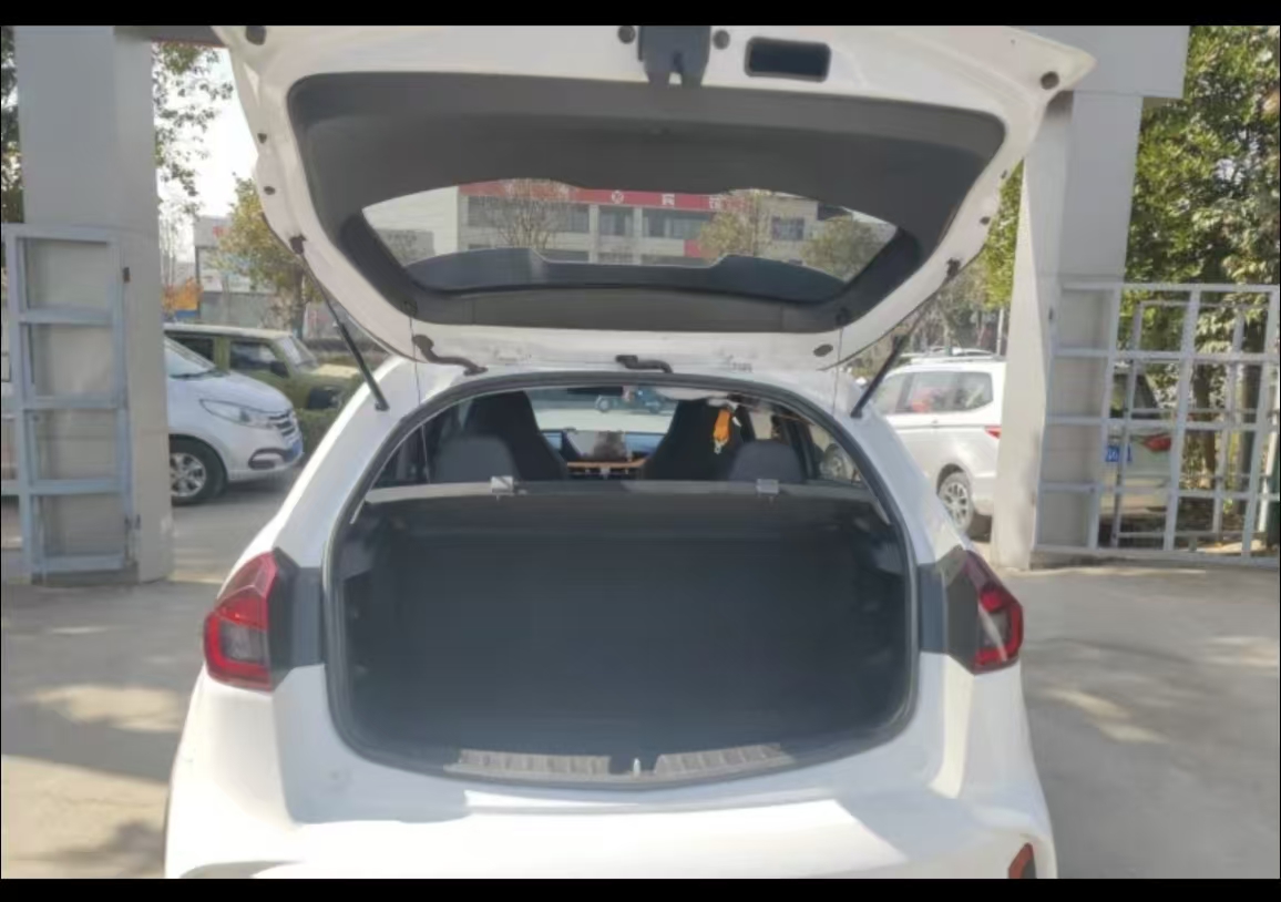 Livan X3 PRO 2023 image de voiture #7