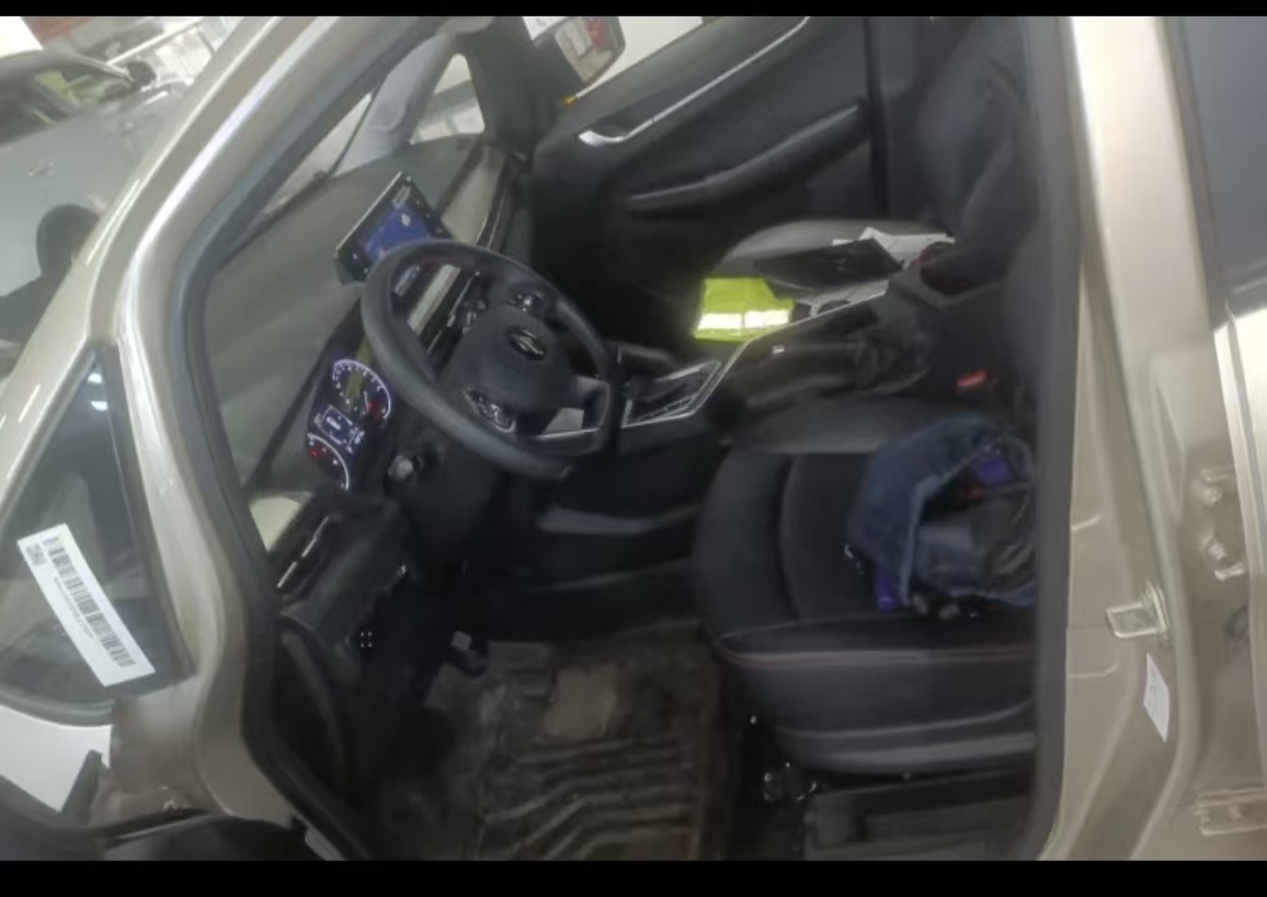 睿蓝汽车 睿蓝汽车X3 PRO 2025 汽车图片 #10