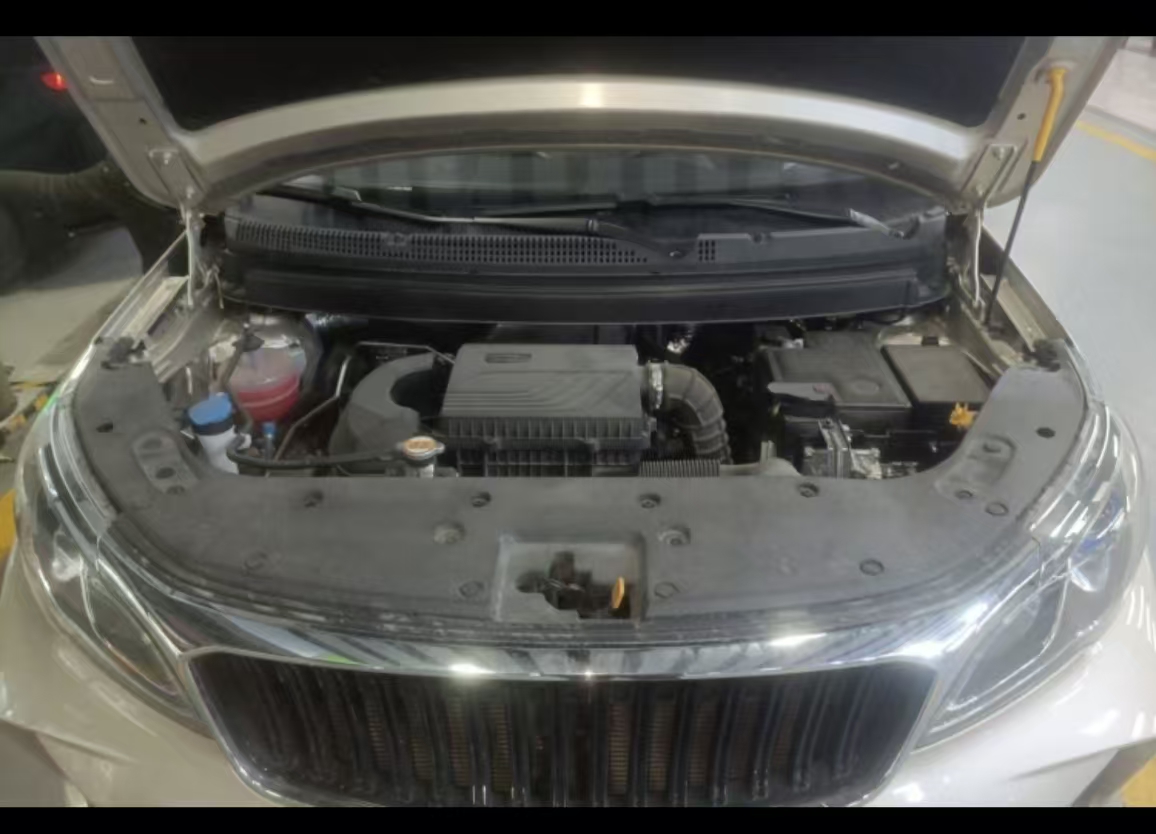 睿蓝汽车 睿蓝汽车X3 PRO 2025 汽车图片 #11