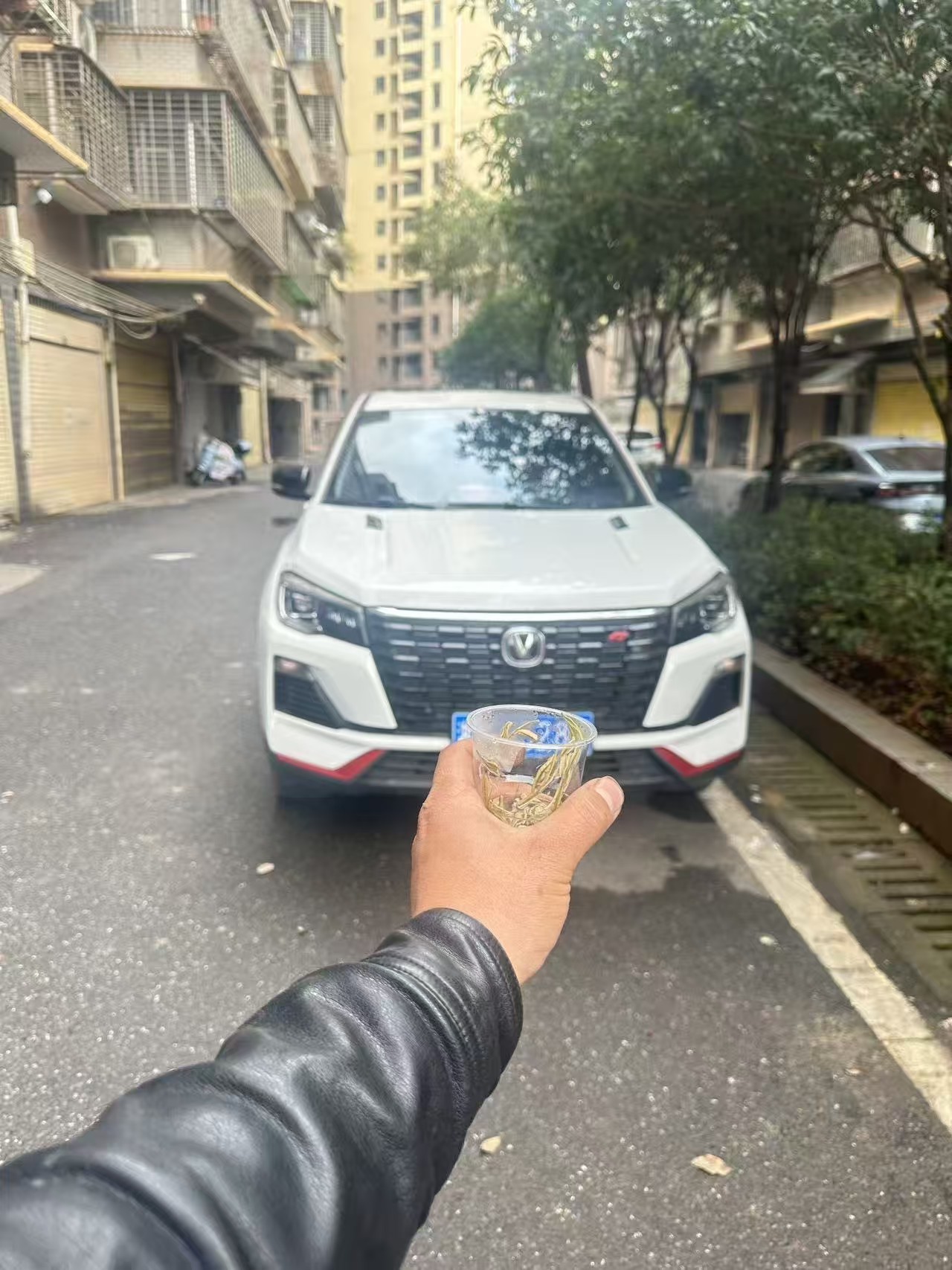 长安 长安CS75 2023 汽车图片 #3