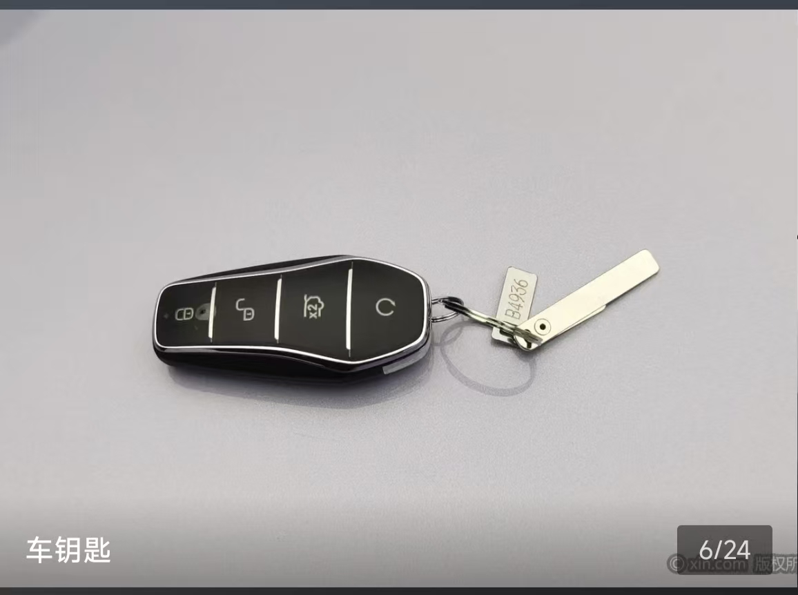 BYD Sea Lion 07 EV 2025 car image #4