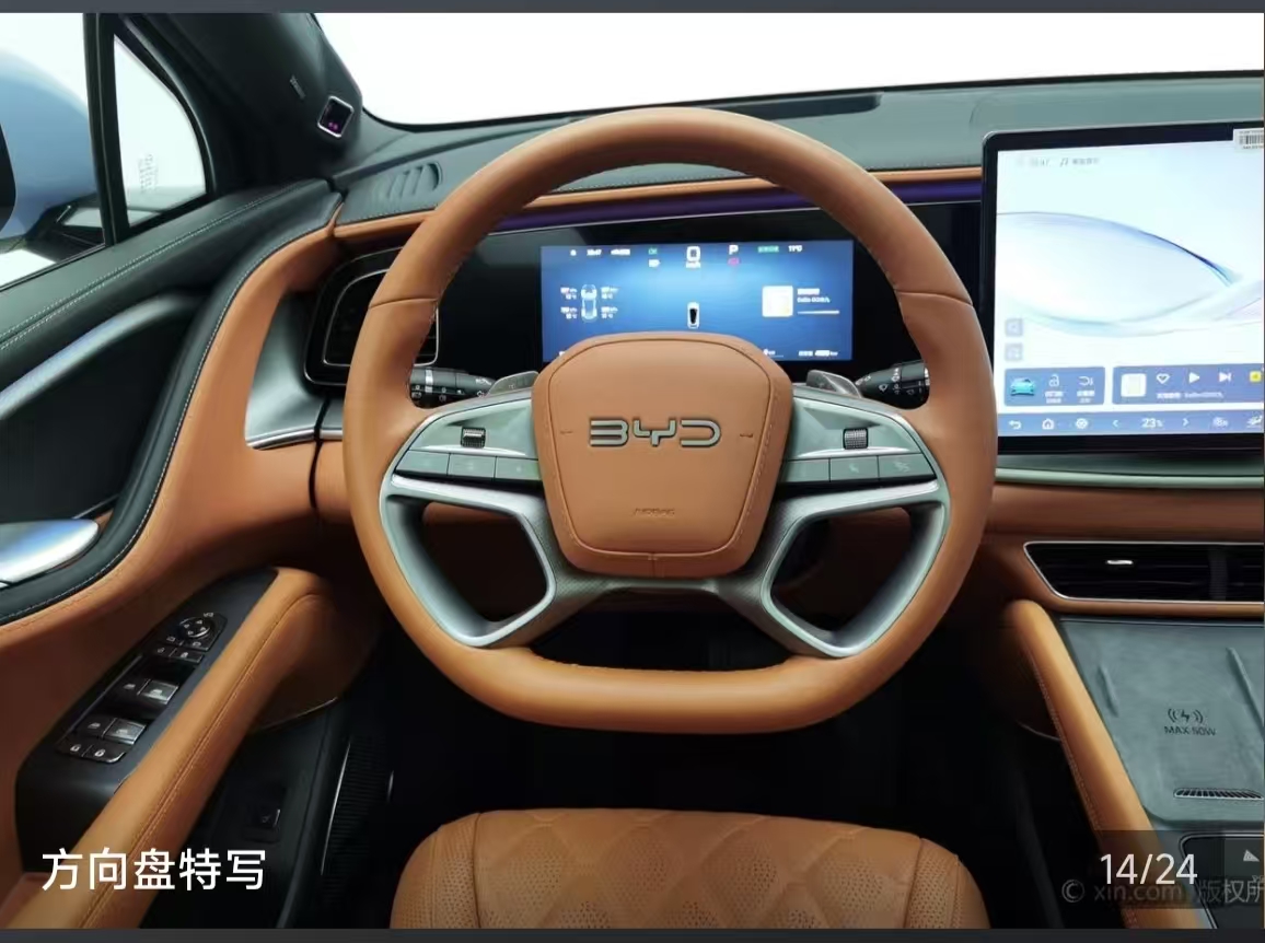 BYD Sea Lion 07 EV 2025 car image #19