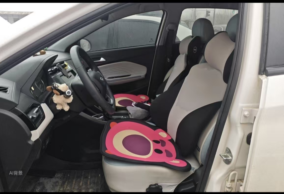 Chery Tiggo 3x 2022 car image #17