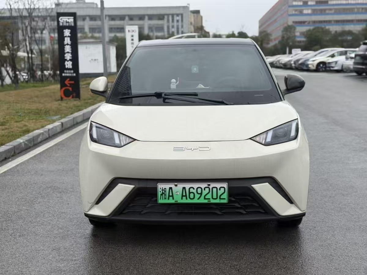 BYD Seagull 2023 imagen de coche #5