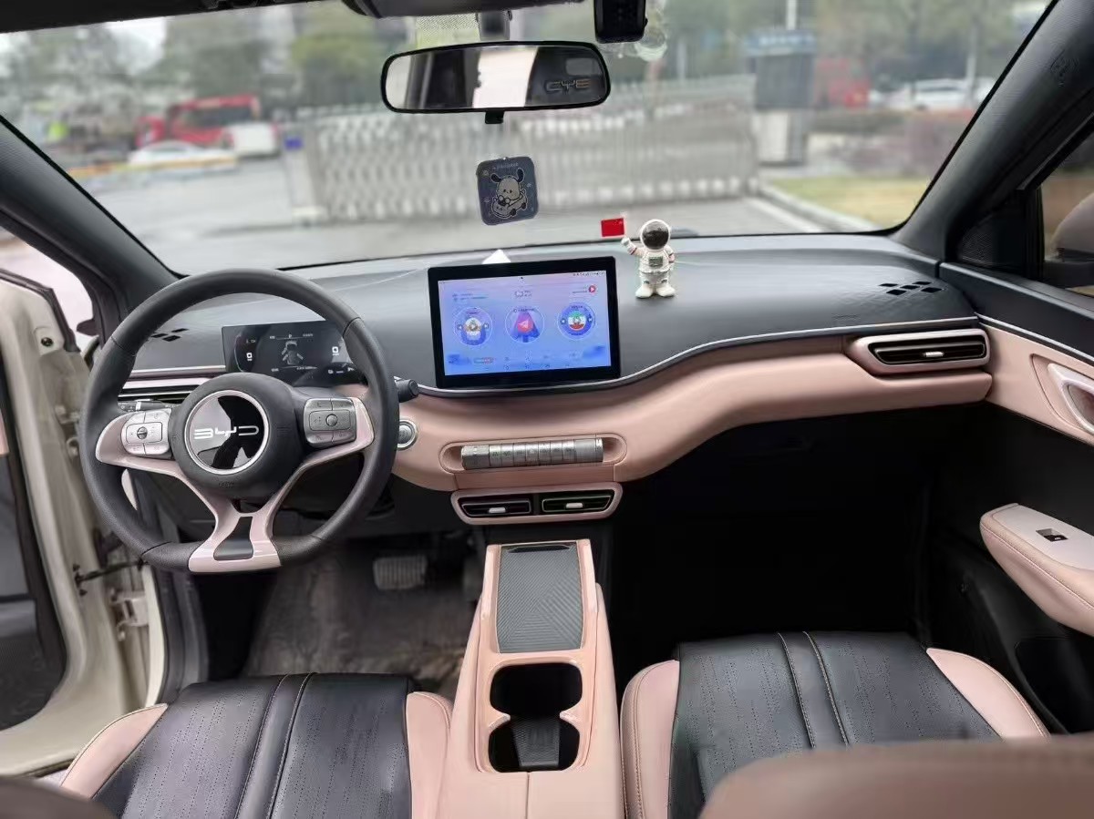 BYD Seagull 2023 imagen de coche #6