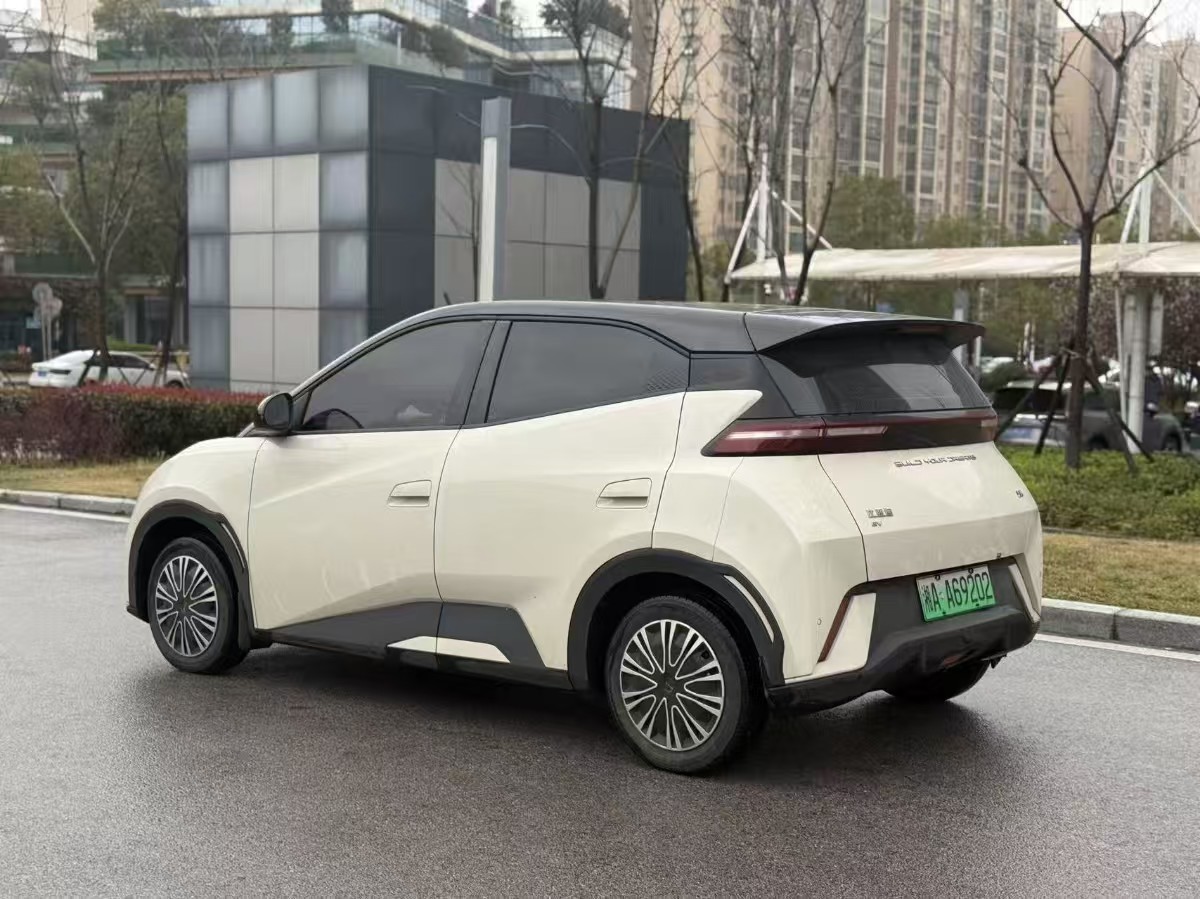 BYD Seagull 2023 imagen de coche #2