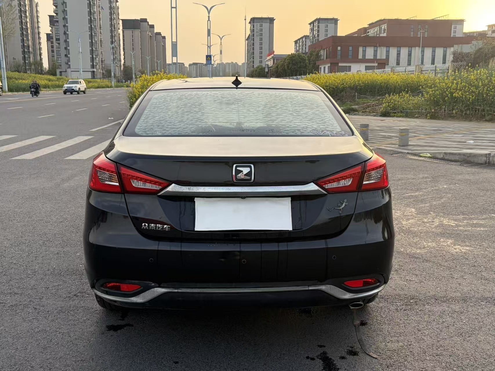 Zotye 2017 imagen de coche #6