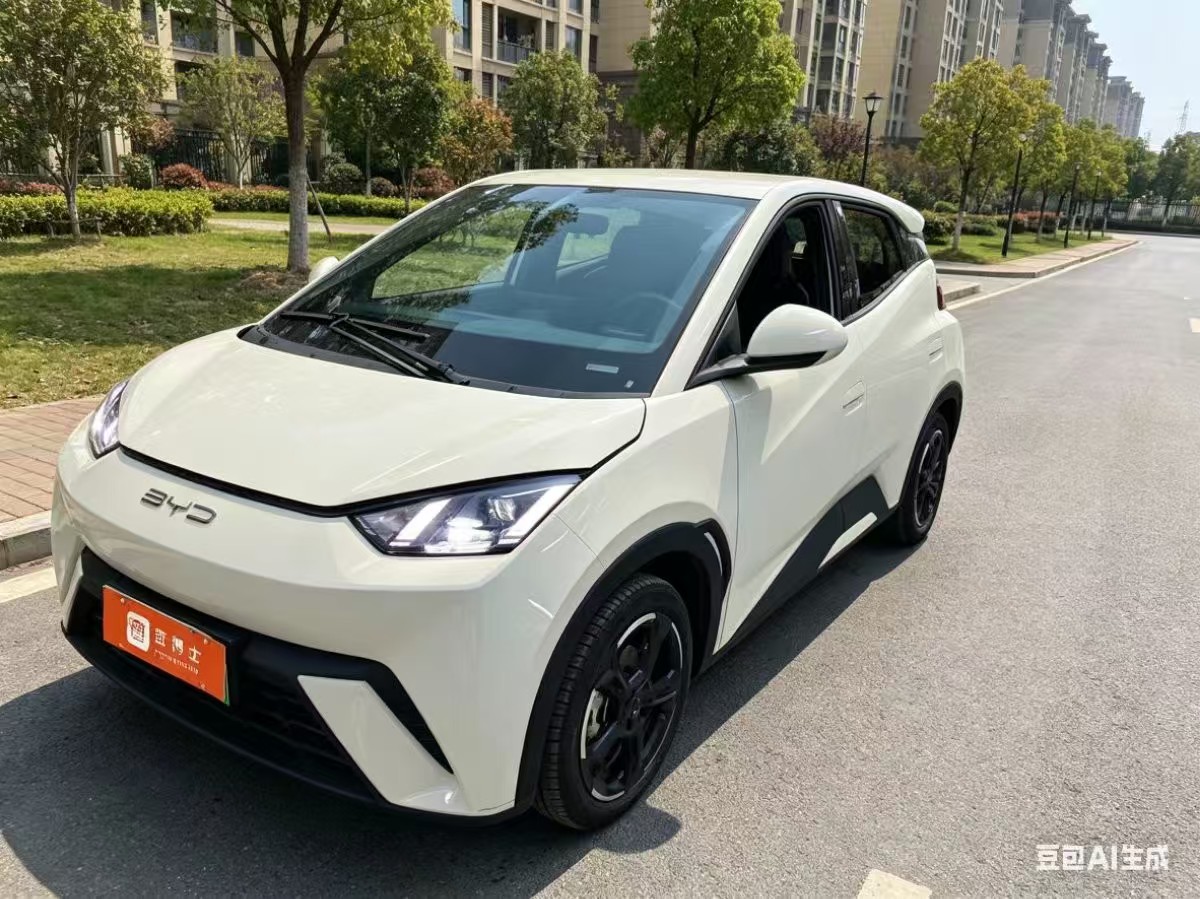 BYD Seagull 2023 immagine di auto 