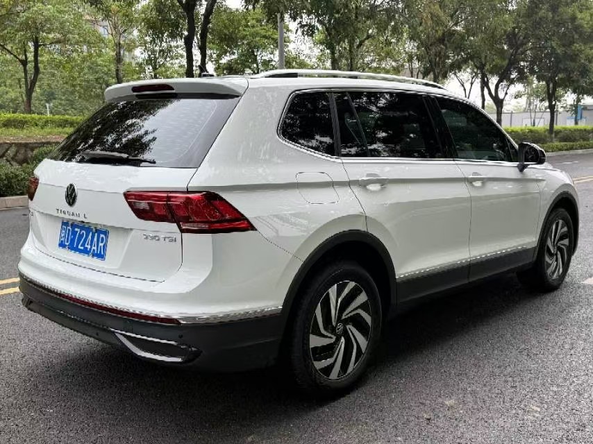 Volkswagen Tiguan L 2024 car image #9