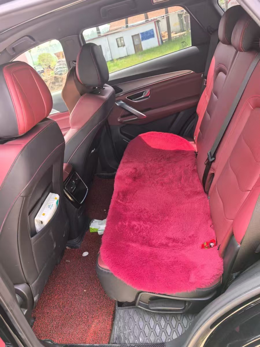 Jetour X70 2023 car image #6