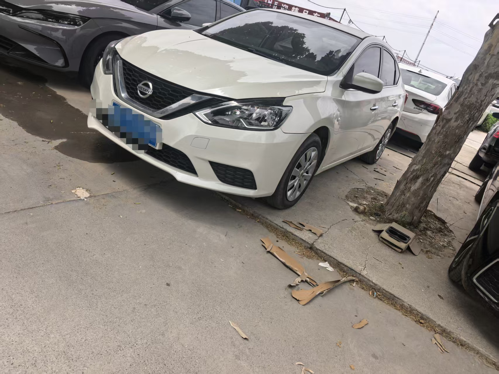 Nissan Sylphy 2023 Nissan Sylphy 2023 صورة سيارة