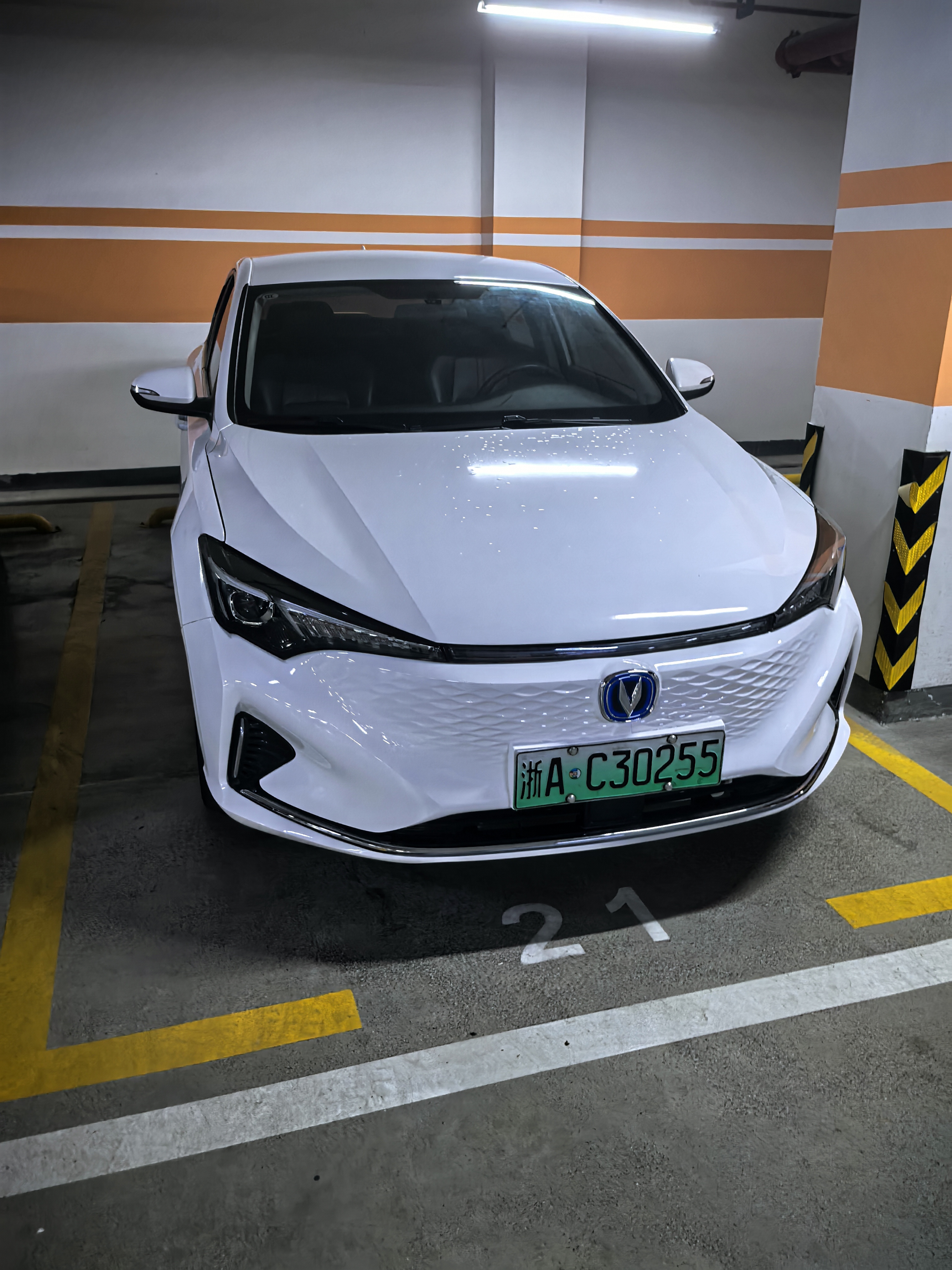 Changan Eado 2024 Changan Eado 2024 car image