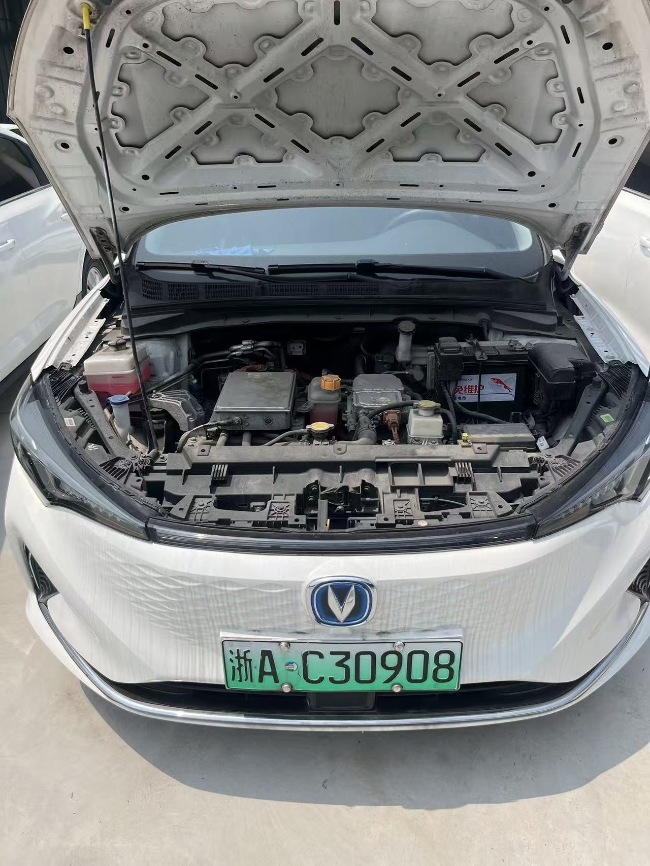 Changan Eado 2024 car image #8