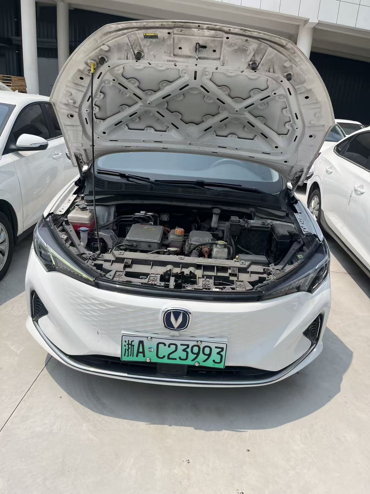 Changan Eado 2024 car image #5
