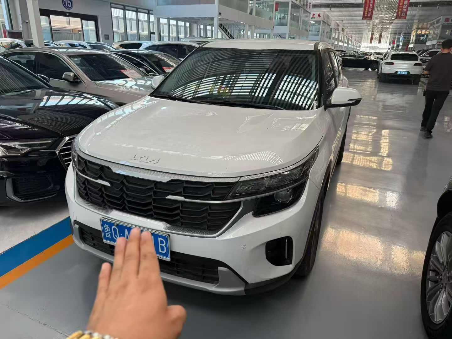 Kia Seltos 2024 car image 
