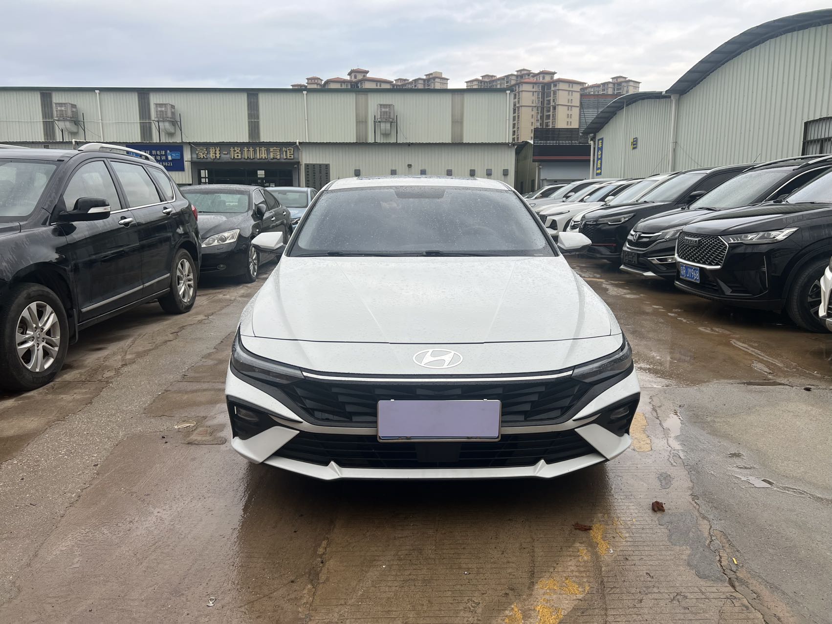Hyundai Elantra 2024 car image #8