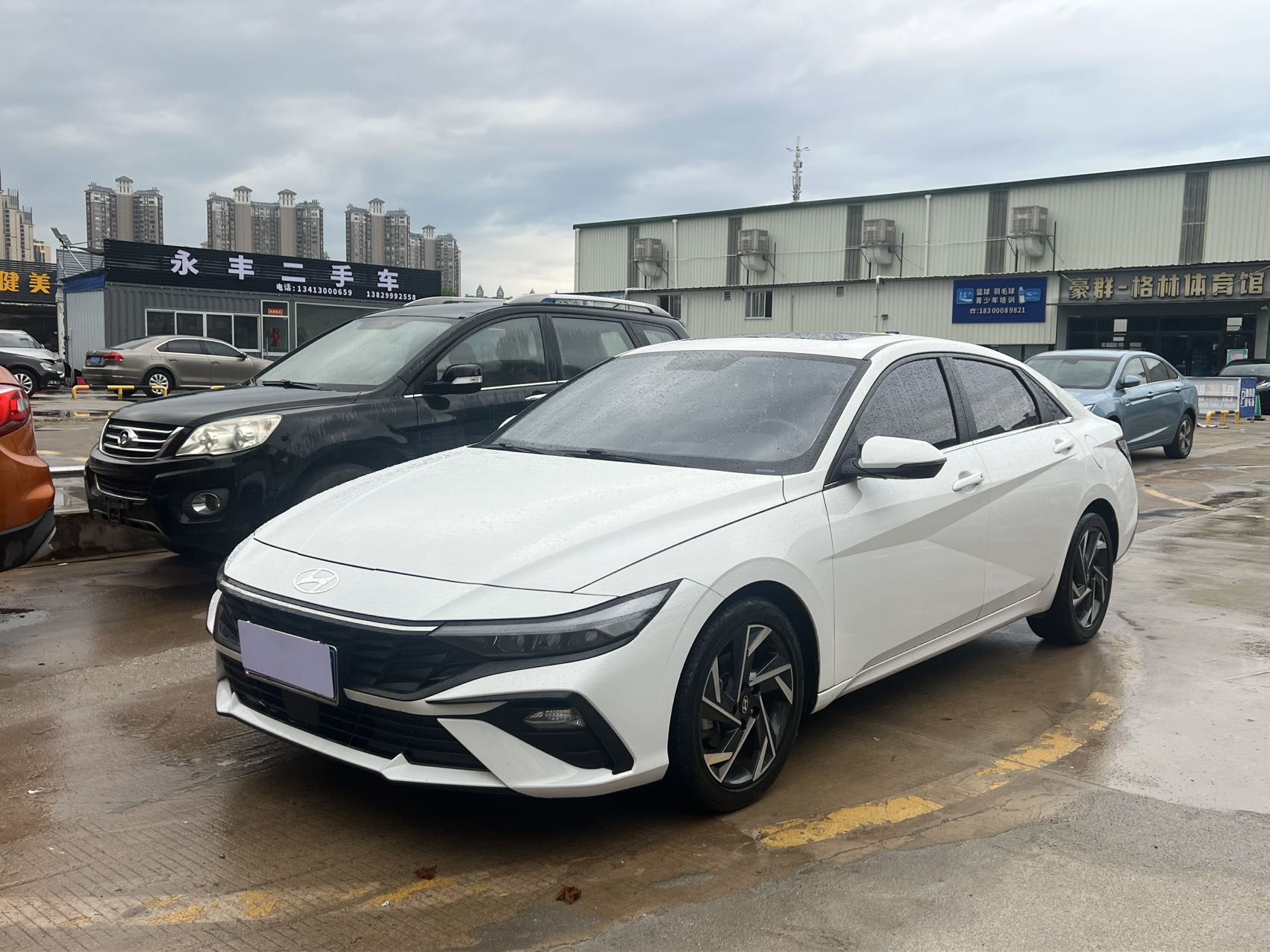 Hyundai Elantra 2024 car image 