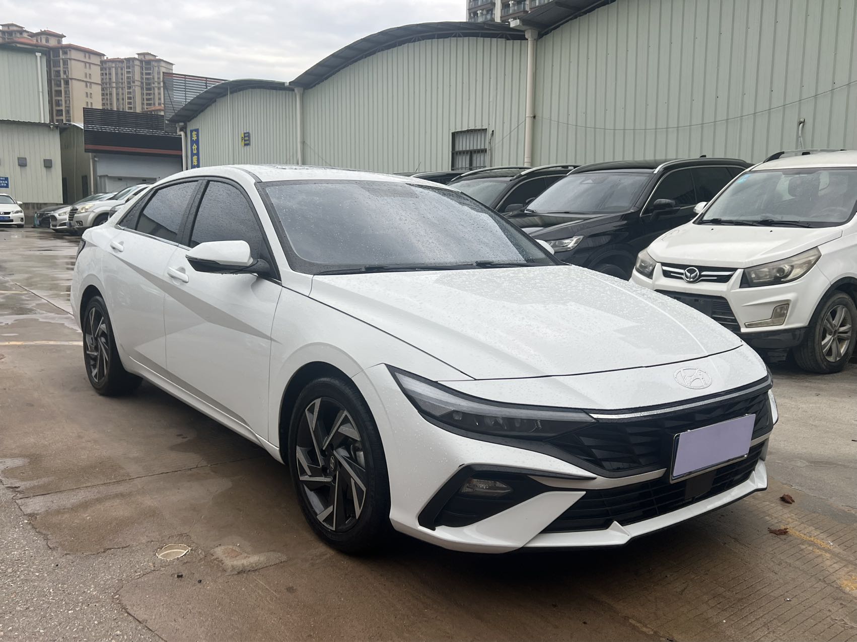 Hyundai Elantra 2024 car image #6