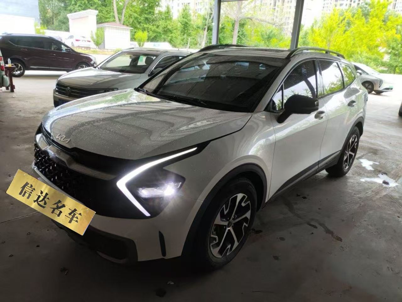 Kia Sportage 2023 car image 