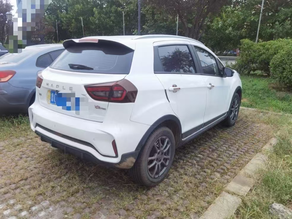 Livan X3 PRO 2023 car image #3