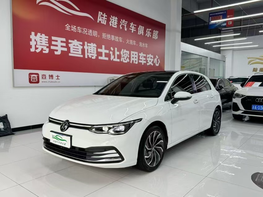 大众 高尔夫 2024 汽车图片 