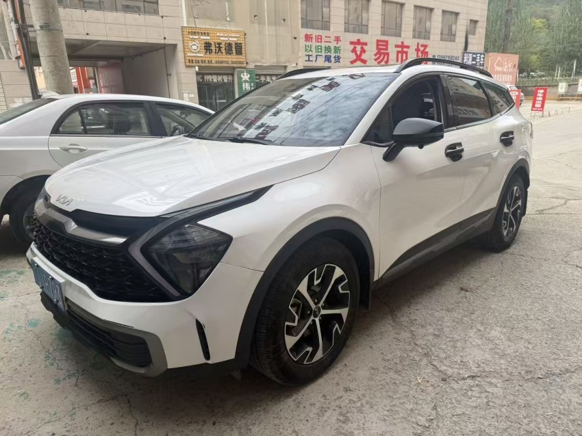 Kia Sportage 2024 car image 