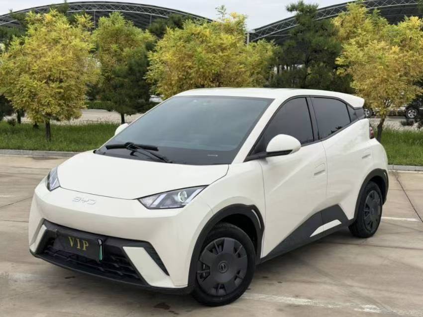 BYD Seagull 2024 BYD Seagull 2024 car image