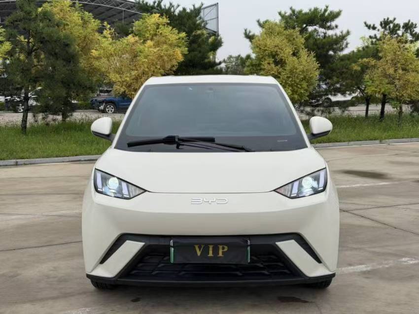 BYD Seagull 2024 car image #2