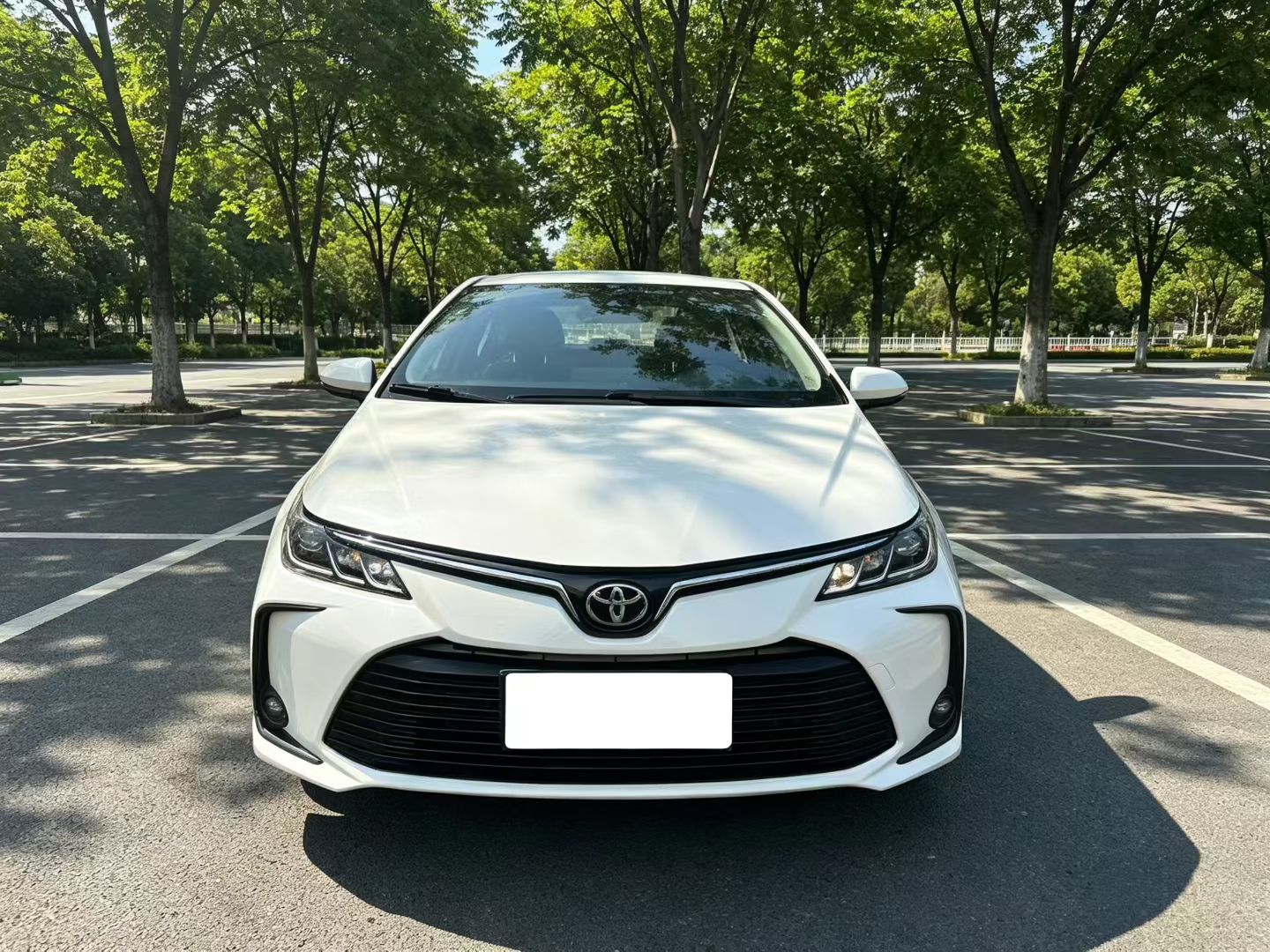 Toyota Corolla 2023 #6 Toyota Corolla 2023 imagen de coche #6