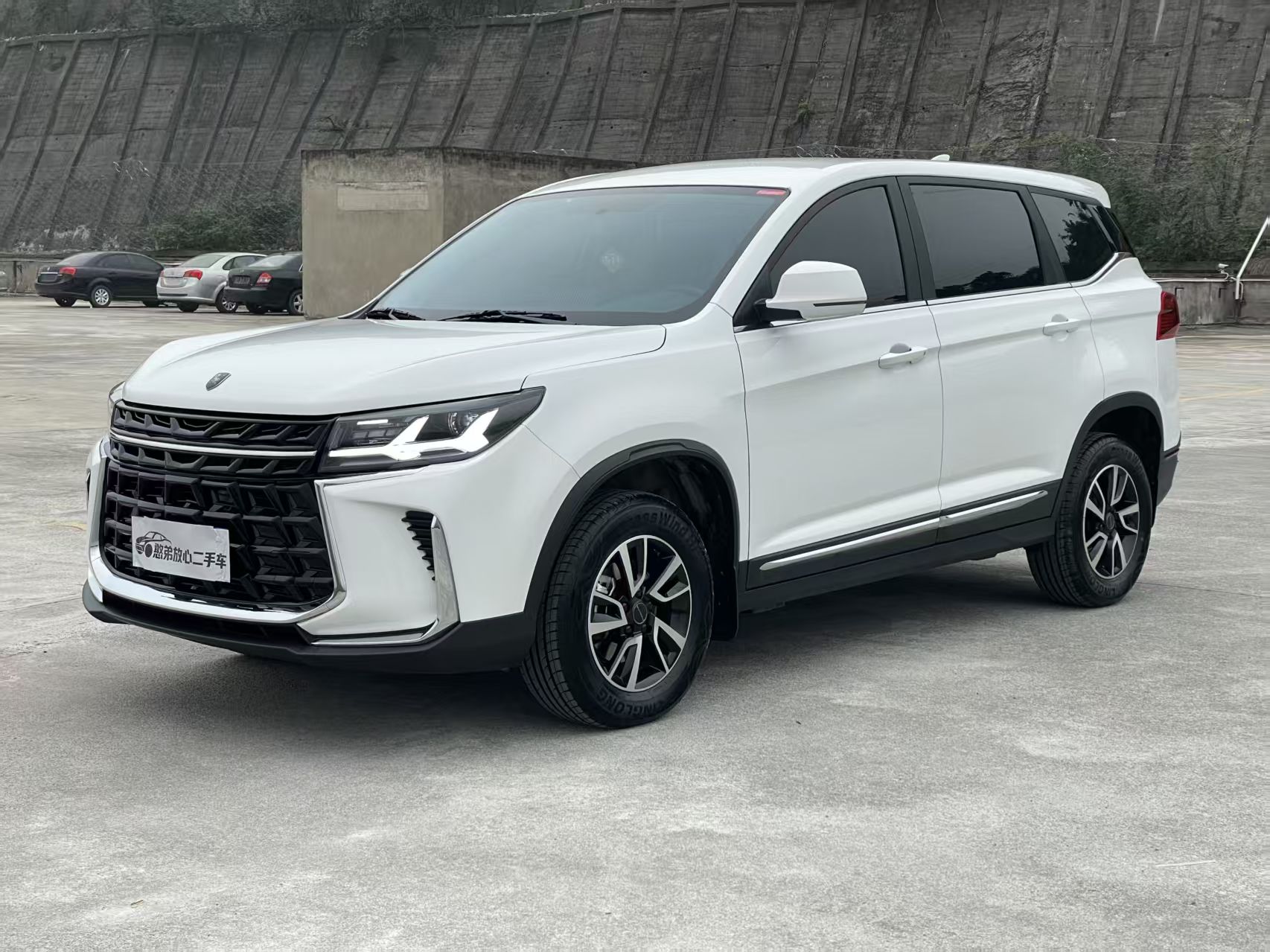 东风风行 风行T5 2024 汽车图片 