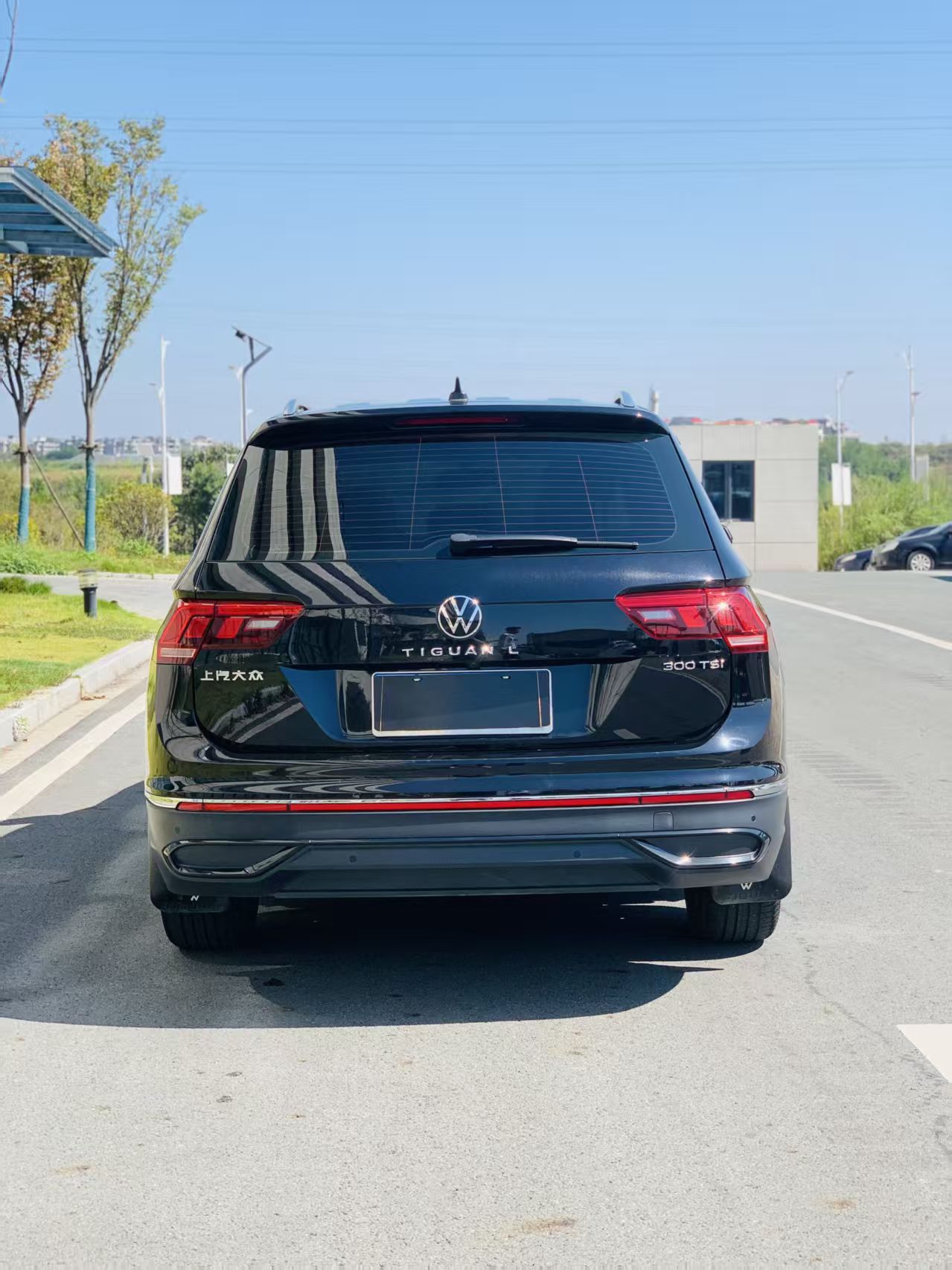 Volkswagen Tiguan L 2024 car image #15