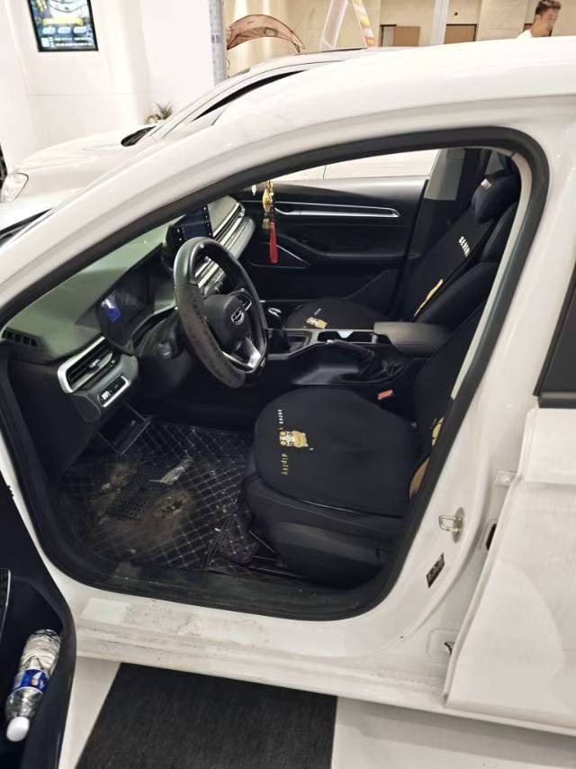 GEELY Emgrand 2023 immagine di auto #6