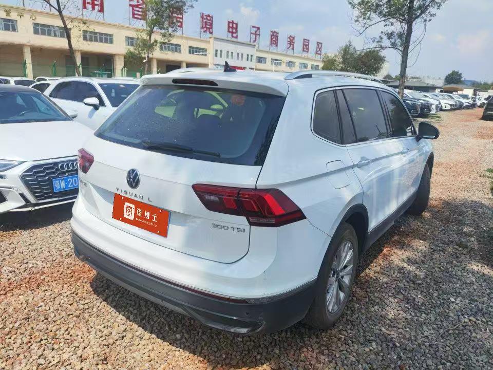 Volkswagen Tiguan L 2024 imagen de coche #11