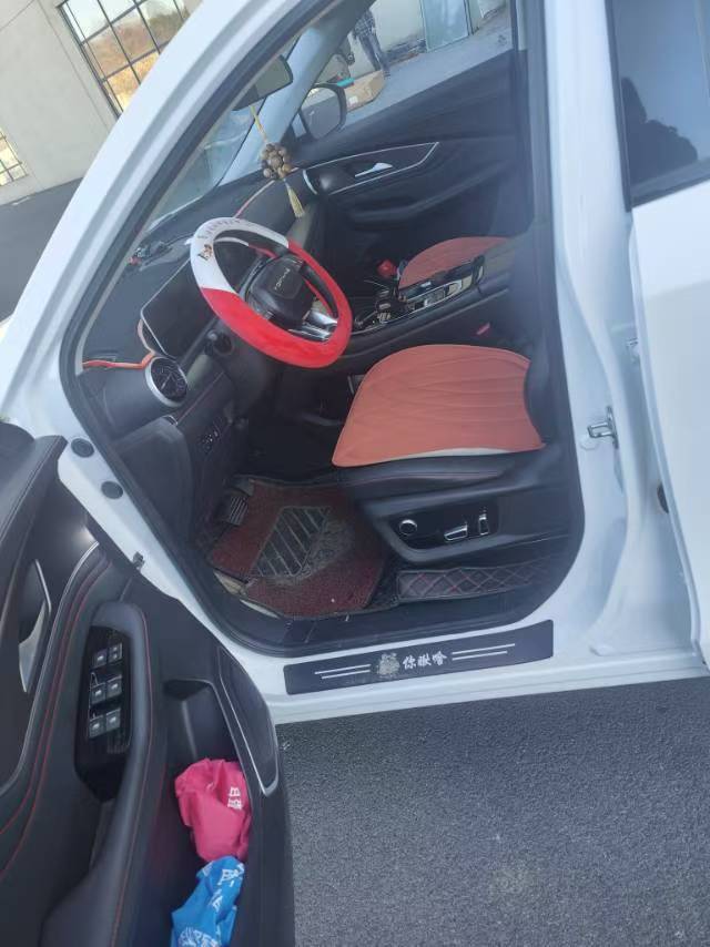 Forthing T5 EVO 2021 изображение автомобиля #8
