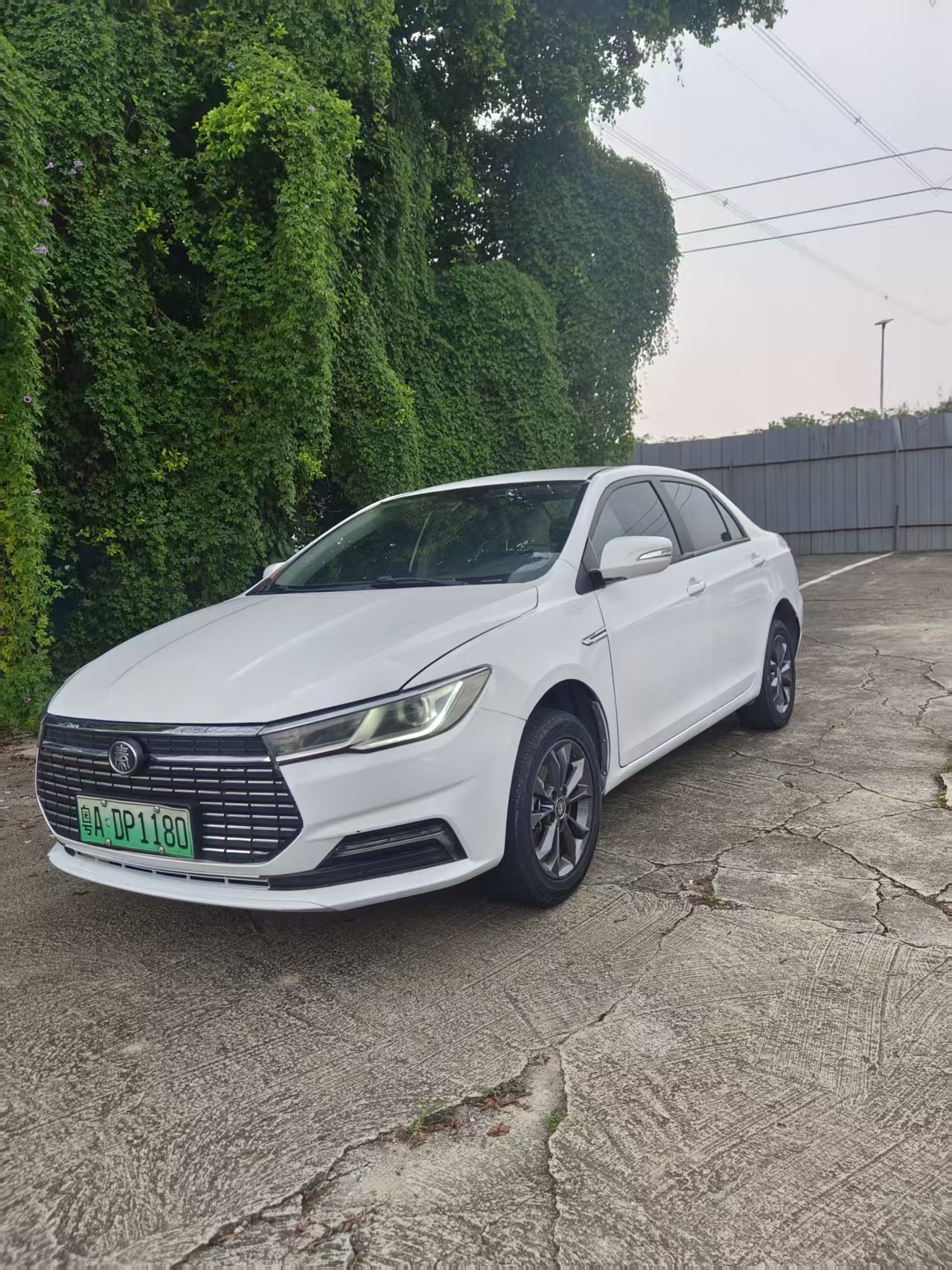 BYD Qin New Energy 2021 car image #7