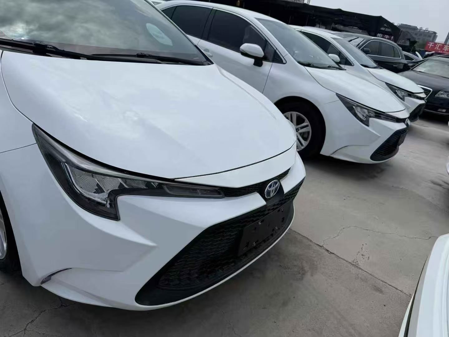 Toyota Levin 2023 汽车图片 