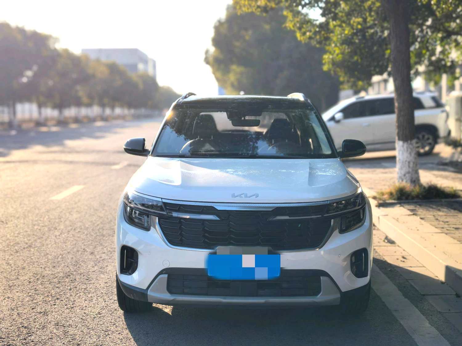 Kia Seltos 2024 imagen de coche #8