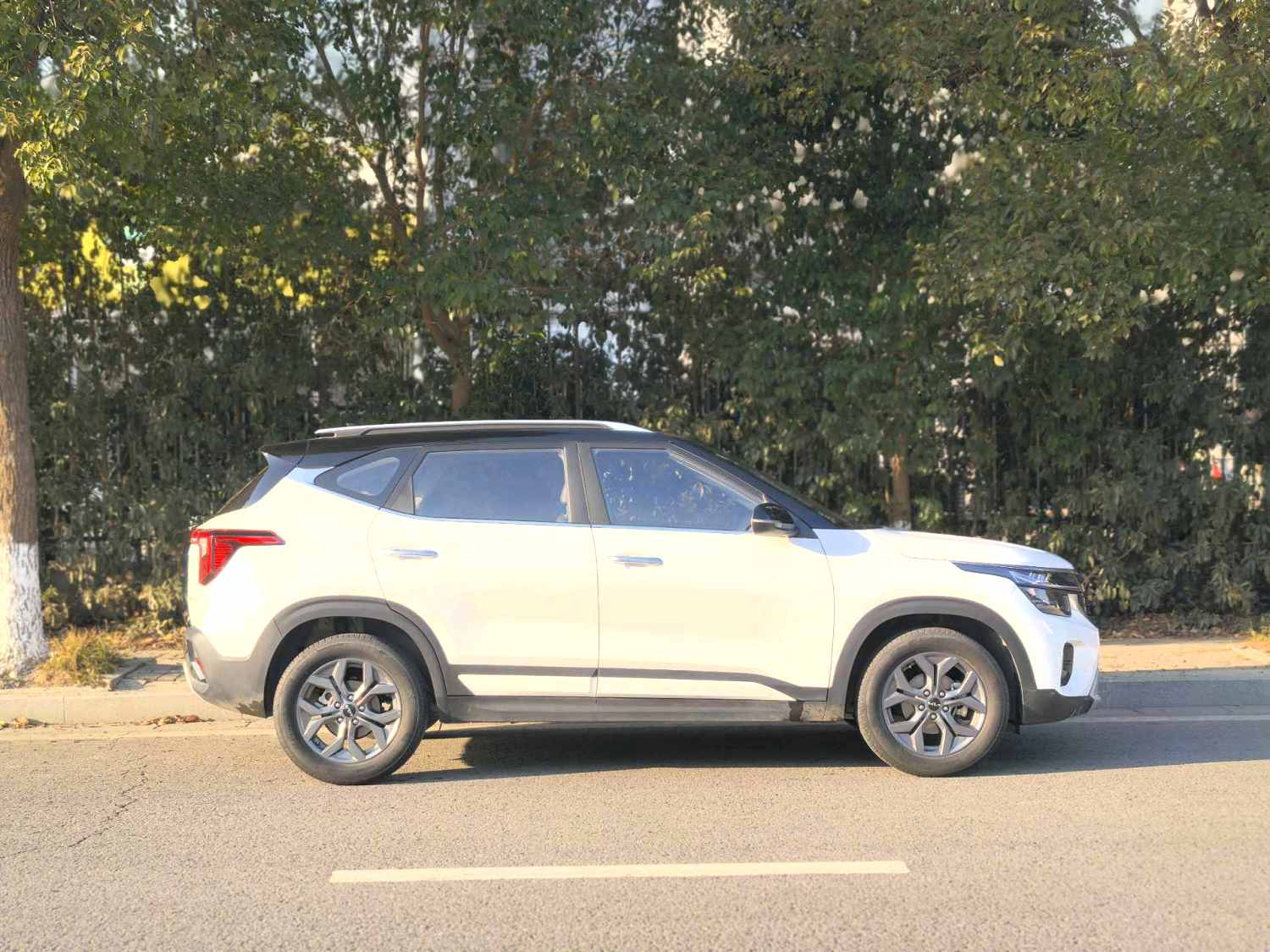 Kia Seltos 2024 imagen de coche #7