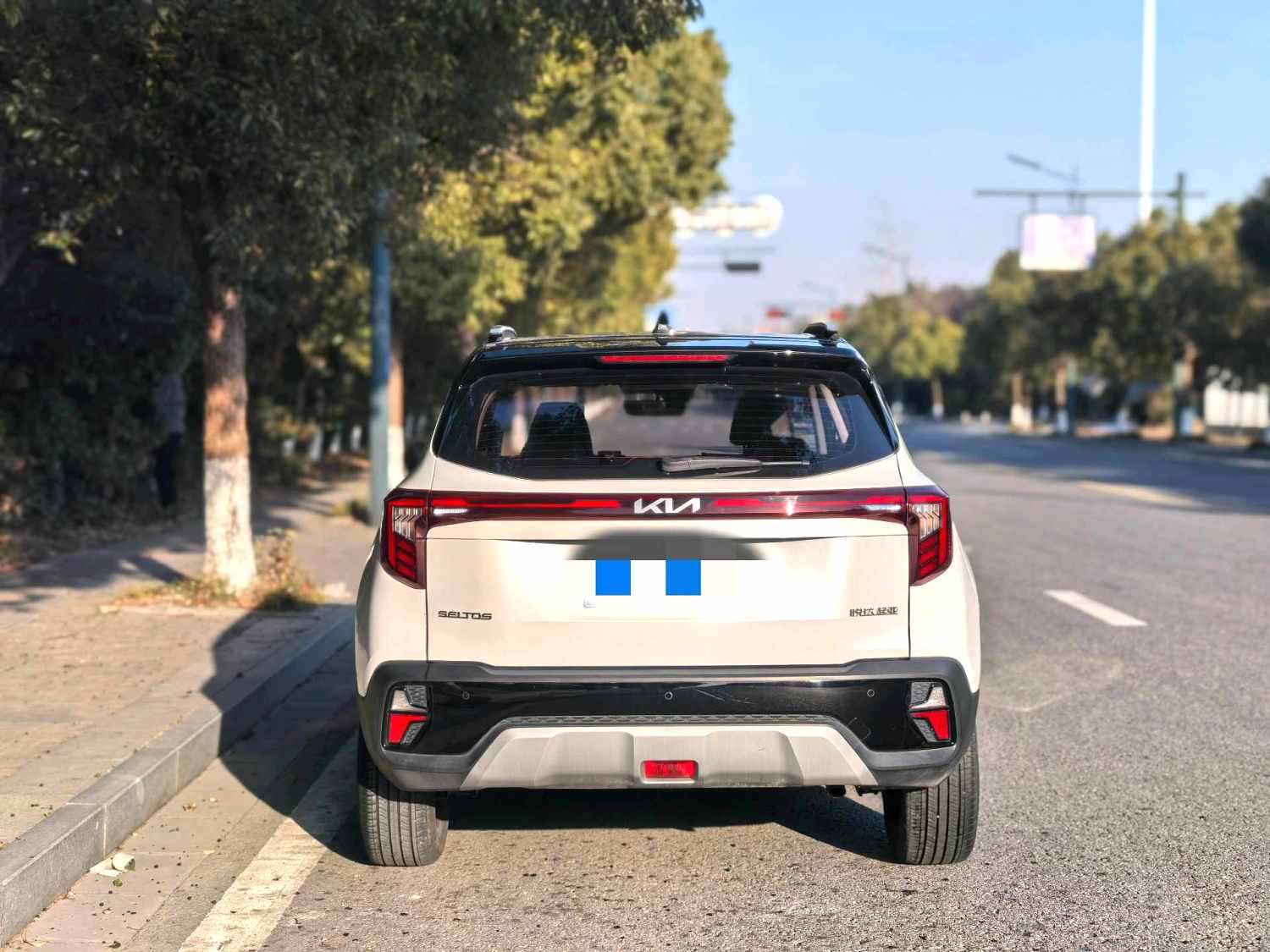 Kia Seltos 2024 imagen de coche #3