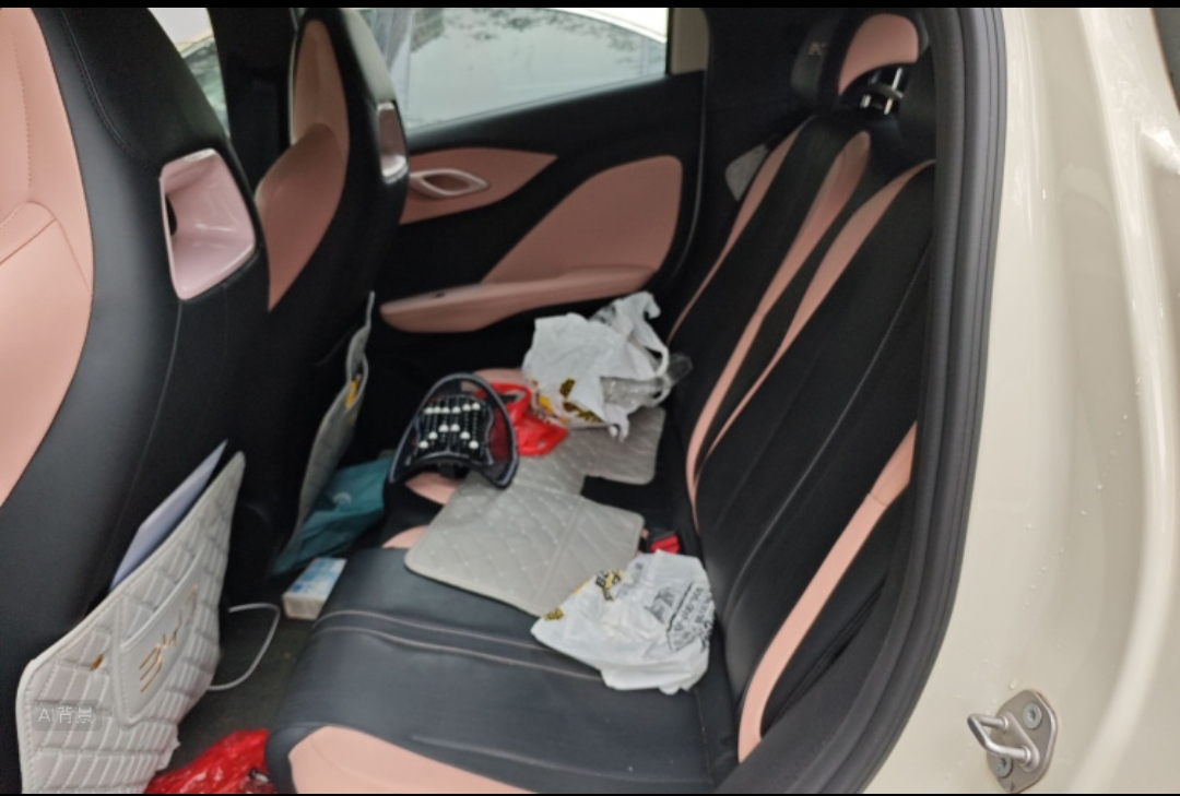 BYD Seagull 2023 car image #2